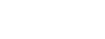 Novy Partner Logo